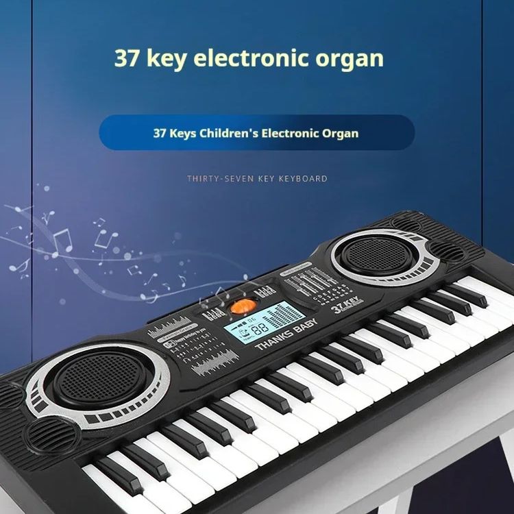 Elektronisch toetsenbord voor  - Musical Instrument Harmonium recensie en prijs