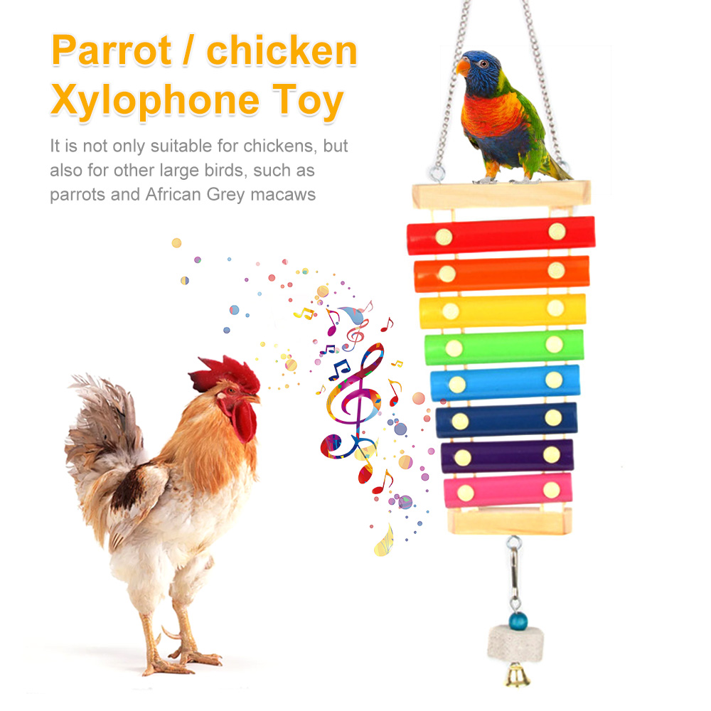 Vogel Kip Xylofoon Speelgoed H - Musical Instrument Harmonium recensie en prijs